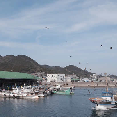 Port de pêche de Yura